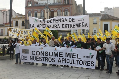 Apicultores extremeños buscan el apoyo de los partidos para que el Gobierno central cambie el etiquetado de la miel