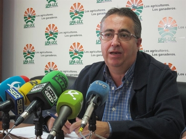 UPA-UCE Extremadura cifra en 32 millones las pérdidas del sector del maíz por la bajada de producción y de precios