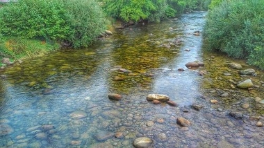 El río Jerte teñido de negro por la contaminación tras la desembocadura de la Garganta de los Infiernos