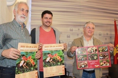 Mérida (Badajoz) celebrará el Día de la Seta con ponencias y visitas al Parque Natural de Cornalvo