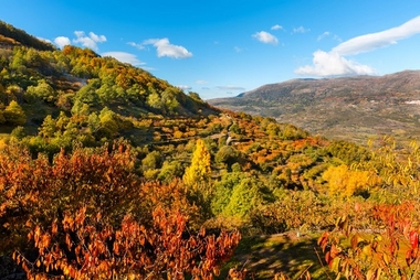 Nosotros, el turismo y el otoño