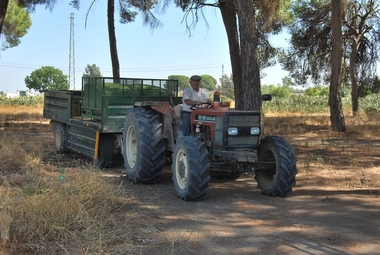 La Unión de Extremadura cifra en 277 millones las pérdidas en el campo extremeño por la caída de los precios agrícolas