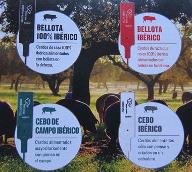 La Unión de Consumidores de Extremadura cree que el nuevo etiquetado del jamón evitará el 