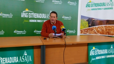 Apag Extremadura Asaja pide a la Junta y al Gobierno un seguro por pérdidas de renta en las explotaciones de cereal