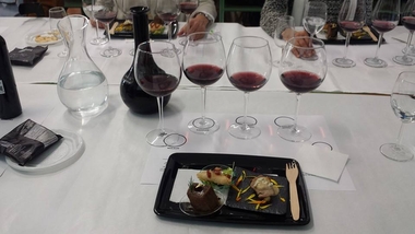 Casas de Reina acoge un taller de Arqueogastronomía sobre vinos romanos