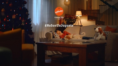 Fundación Affinity alerta que perros y gatos #NoSonUnJuguete