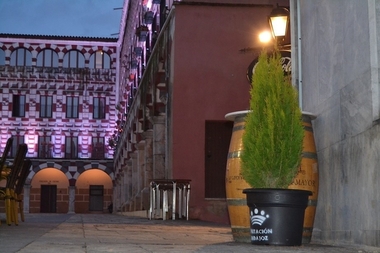 El vivero de la diputación provincial 