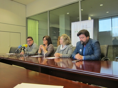 El Consejo Económico y Social de Extremadura pide al Gobierno de España un ferrocarril 'moderno, eficaz y sostenible'