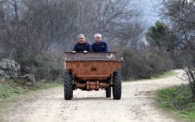 Más de 6.500 agricultores y ganaderos extremeños recibirán desde este viernes ayudas a contratación de seguros agrarios