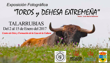 Inaugurada en Talarrubias la exposición fotográfica 'Toros y Dehesa de Extremadura' de José María Ballester