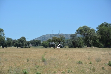 La Diputación de Badajoz asesora a ayuntamientos de la provincia en la mejora de infraestructuras de fincas municipales
