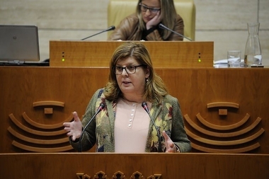 Ciudadanos pide a la Junta un plan complementario de grandes obras con cargo a la Deuda Histórica