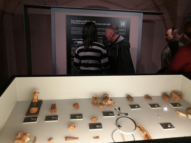 Una exposición de la Cueva de El Conejar en Cáceres contiene restos de animales que ya no existen en la región
