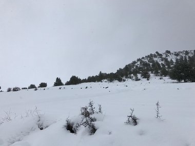 El 112 Extremadura activará este jueves el aviso amarillo por nevada en el norte de la provincia de Cáceres