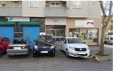 Tres coches aparcados en Badajoz sufren daños tras caerles parte de un árbol con el que chocó un camión