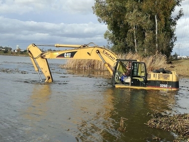 Continúa la retirada de camalote y nenúfar mexicano en el Guadiana pese a la subida del río a su paso por Badajoz