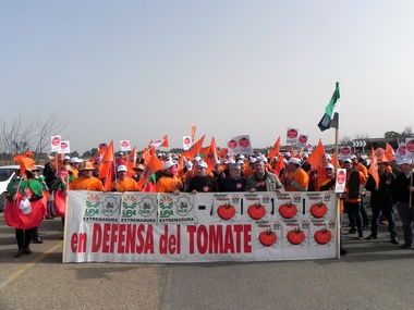 Más de 250 productores de tomate se concentra a las puertas de Conesa para reclamar un precio 