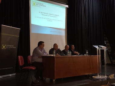 Cooperativas plantean iniciar un plan de actuación para mantener la viabilidad de explotaciones tabaqueras extremeñas