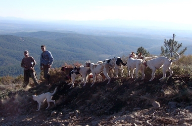 La campaña de caza en Extremadura finaliza con un balance 