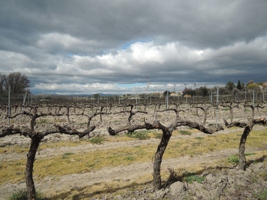 La Junta de Extremadura convoca ayudas para la incorporación de jóvenes agricultores dotadas con 20 millones de euros