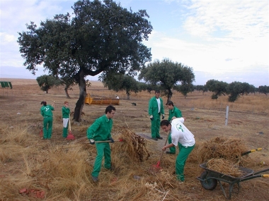 La Diputación de Badajoz participa en el Plan de Empleo Joven que impulsa la Junta de Extremadura