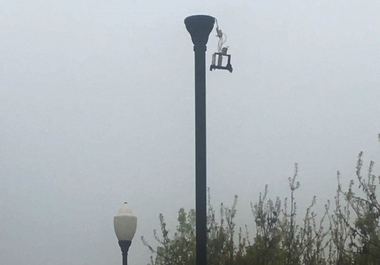 El Ayuntamiento de Mérida solicita colaboración ciudadana contra los actos vandálicos en el Paseo del Guadianilla