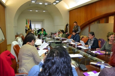 El Consejo Extremeño de Participación de las Mujeres aboga por 