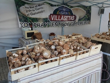 Más de 8.000 personas ha visitado la Feria del Gurumelo de Villanueva del Fresno (Badajoz)