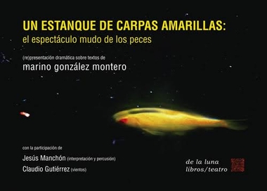 Un estanque de carpas amarillas: el espectáculo mudo de los peces