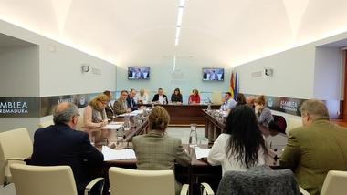 La Asamblea inicia el control de la ejecución de los presupuestos de la Comunidad para 2017