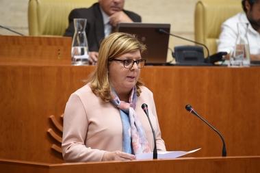 La Asamblea insta a la Junta a reforzar su apoyo y acompañamiento a los emprendedores con discapacidad de Extremadura