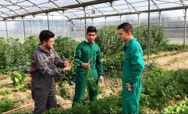 Alumnas extremeñas cultivan flores de Bach para rellenar muñecos para tratar la depresión, el estrés y la ansiedad