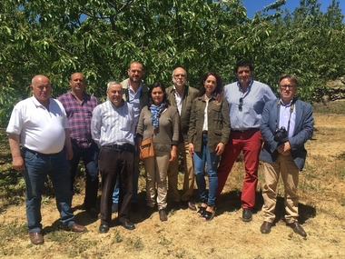 El PP pide a la Junta que lidere una solución para los agricultores afectados por el granizo en El Torno y Rebollar