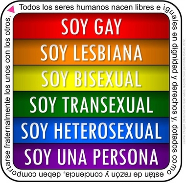 ORGULLO. Manual para heteros