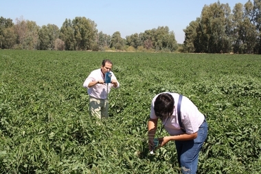 Cicytex participa en un proyecto para ofrecer soluciones en la gestión de la fertirrigación de cultivos hortofrutícolas