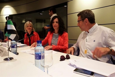 La Junta pide que la nueva Estrategia de Empleo del ministerio aporte medidas 