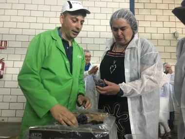 La Junta exige explicaciones al Ministerio de Agricultura por el 