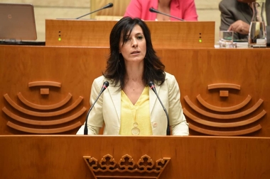 Esther Gutiérrez define el presente curso escolar como el de la ''consolidación de las políticas sociales''