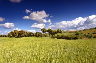 El Marco de Impulso a la Economía Verde y Circular suma ya más de 300 adhesiones oficiales