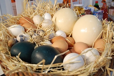 Huevos a Pares, para celebrar el Día del Padre 2018
