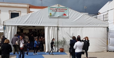 La Feria del Espárrago y la Tagarnina de Alconchel 