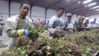 La afiliación de extranjeros aumenta en 335 cotizantes en marzo en Extremadura en tasa interanual