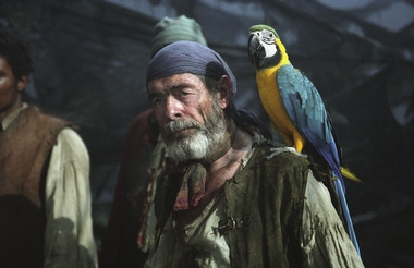 La cotorra del pirata