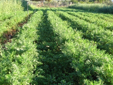 La Diputación de Badajoz impulsa una red de agentes de economía verde y circular para atraer proyectos emprendedores