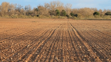 Las empresas del ámbito rural podrán acceder a subvenciones de la Diputación de Badajoz para acciones formativas