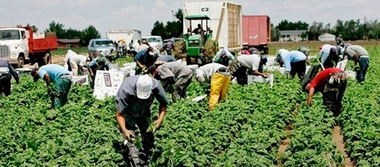 El empleo en el sector de la alimentación representa ya un 2,8% del total de trabajos en Extremadura