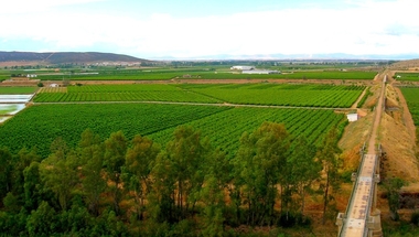 Se activa, para hoy, la alerta amarilla por altas temperaturas en las comarcas de Vegas del Guadiana y de Tajo y Alagón