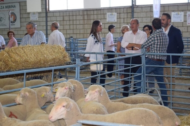 Monago exige que se garantice la renta agraria para agricultores y ganaderos