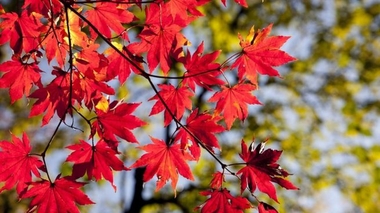 Una iniciativa extremeña permitirá ver el equinoccio de otoño desde Valencia de Alcántara