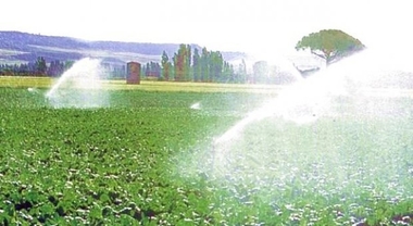 Desarrollo Rural y Territorio da publicidad al proyecto piloto de Bolsa de Tierras de Regadío de Extremadura